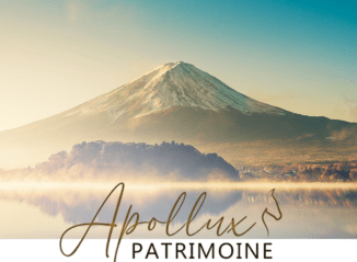 APOLLUX PATRIMOINE